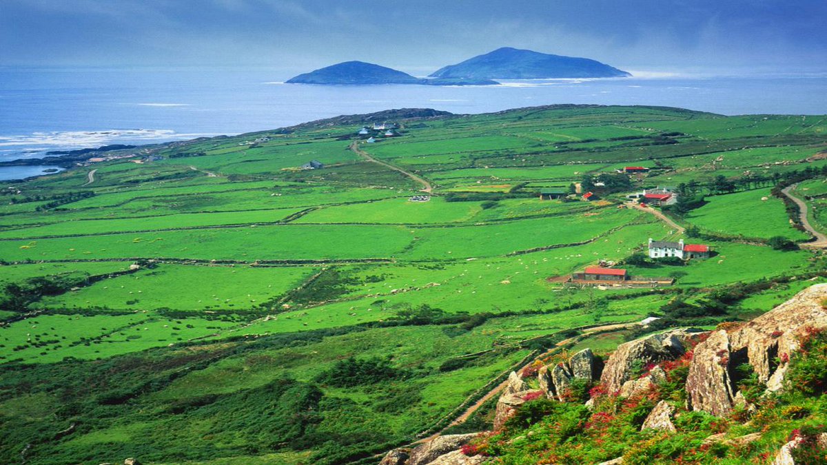Green feilds in Ireland
